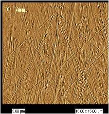 Cellcampus® 鳞源I型胶原