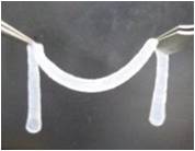 Cellcampus® 鳞源I型胶原