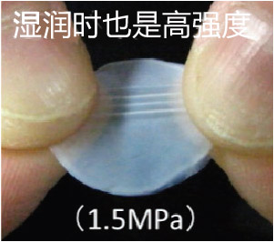 Cellcampus® 鳞源I型胶原