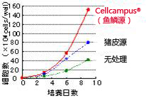 Cellcampus® 鳞源I型胶原