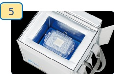 iP-TEC® 培养皿·微孔板用运输设备