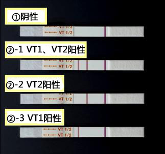 NH免疫层析系列