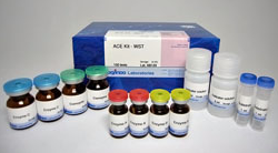 ACE抑制活性检测试剂盒