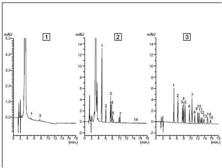 大气分析－醛类分析用前处理柱色谱柱和标准溶液