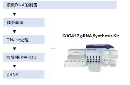 CUGA® 7 gRNA Synthesis Kit