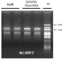 ISOSPIN Plant RNA