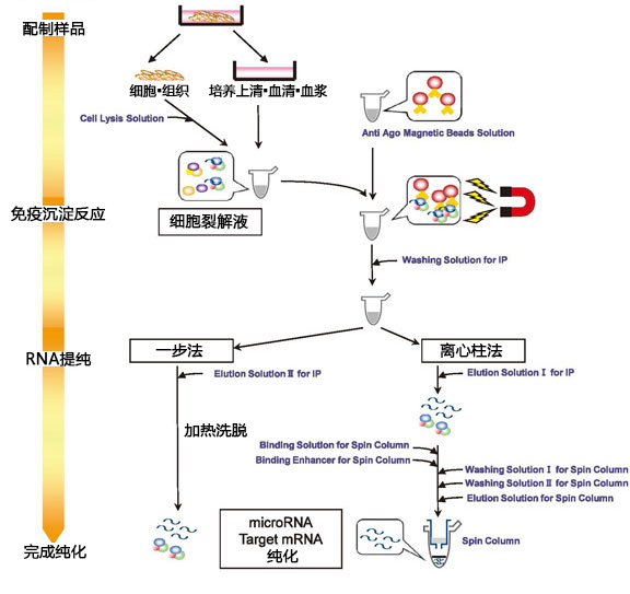 MagCapture™ microRNA分离试剂盒系列