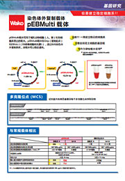 pEBMulti染色体外复制载体