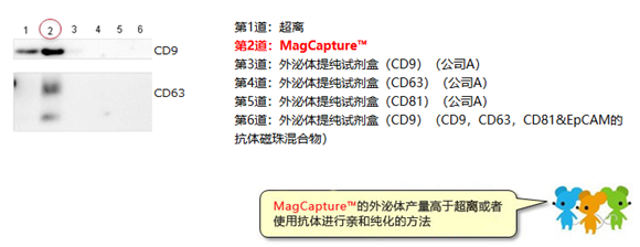 MagCapture™ 外泌体提取试剂盒