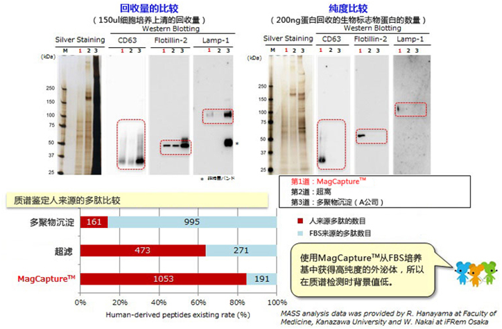 MagCapture™ 外泌体提取试剂盒