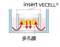 VECELL® 3D细胞培养板