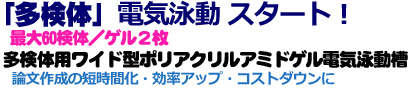 マルチレーンゲル電気泳動槽 | 8x14cmゲル | PAGE スラブ電気泳動槽 | アトー製品情報 | ATTO