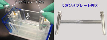 マルチレーンゲル電気泳動槽 | 8x14cmゲル | PAGE スラブ電気泳動槽 | アトー製品情報 | ATTO