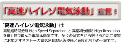マルチレーンゲル電気泳動槽 | 8x14cmゲル | PAGE スラブ電気泳動槽 | アトー製品情報 | ATTO
