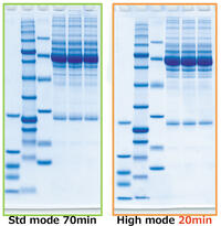 PageRunAce   パジェラン Ace | 8x9cmゲル | PAGE スラブ電気泳動槽 | アトー製品情報 | ATTO