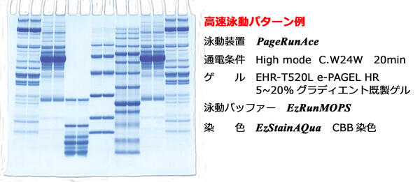 PageRunAce   パジェラン Ace | 8x9cmゲル | PAGE スラブ電気泳動槽 | アトー製品情報 | ATTO