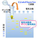 VariRays Ⅰ／Ⅱ（バリレイズⅠ／Ⅱ） | 可視光光源 | ゲル撮影・イメージング | アトー製品情報 | ATTO