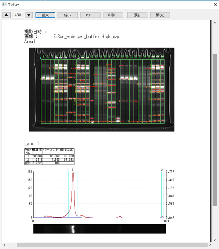 CS Analyzer 4　（Windows版） | Image analysis software | ゲル撮影・イメージング | アトー製品情報 | ATTO