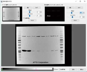 LuminoGraphⅠ （ルミノグラフⅠ） | 高感度化学発光撮影装置 | ゲル撮影・イメージング | アトー製品情報 | ATTO