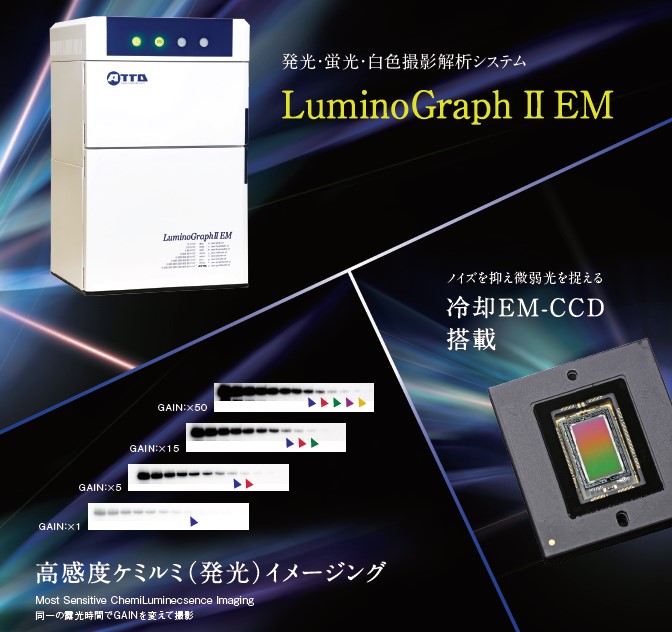 LuminoGraphⅡEM | 高感度化学発光撮影装置 | ゲル撮影・イメージング | アトー製品情報 | ATTO