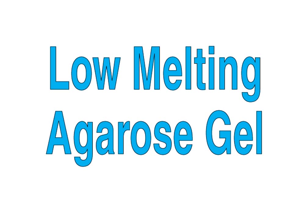 Low Melting Agarose Gel