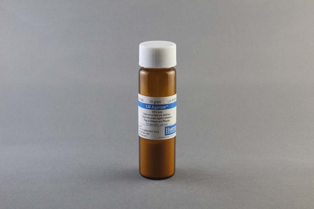 Low Melting Agarose Gel