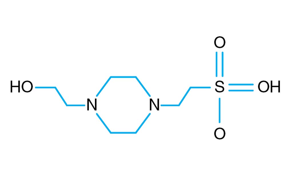 StockOptions Hepes Buffer Kit