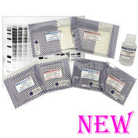 QBlot kit C/M/W （キューブロットキット） | ブロッティング・ブロッティング試薬 | 試薬 | アトー製品情報 | ATTO