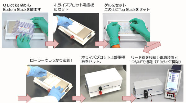 QBlot kit C/M/W （キューブロットキット） | ブロッティング・ブロッティング試薬 | 試薬 | アトー製品情報 | ATTO