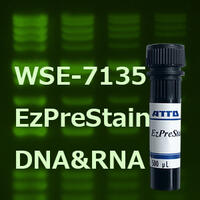 EzPreStain DNA&amp;RNA（イージープレステイン DNA＆RNA） | 電気泳動・ゲル染色試薬 | 試薬 | アトー製品情報 | ATTO