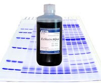 EzStain AQua （イージーステイン アクア） | 電気泳動・ゲル染色試薬 | 試薬 | アトー製品情報 | ATTO
