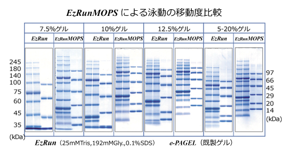 EzRun MOPS （イージーランMOPS） | 電気泳動・泳動バッファー | 試薬 | アトー製品情報 | ATTO