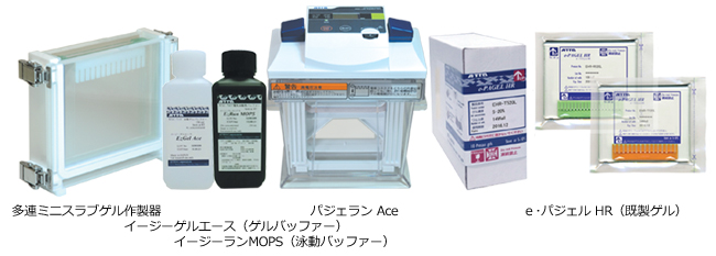 EzRun MOPS （イージーランMOPS） | 電気泳動・泳動バッファー | 試薬 | アトー製品情報 | ATTO