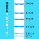 EzStandard PrestainBlue （イージースタンダードプレステインブルー） | 電気泳動・分子量マーカー | 試薬 | アトー製品情報 | ATTO