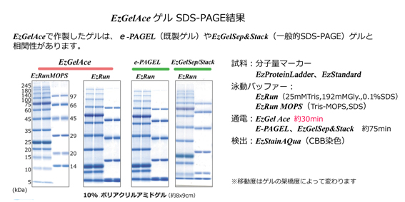 EzGel Ace（イージーゲル エース） | 電気泳動・PAGE用ゲルバッファー | 試薬 | アトー製品情報 | ATTO