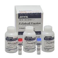 EzSubcell Fraction （イージーサブセル フラクション） | 抽出関連試薬/細胞・タンパク質可溶化剤 | 試薬 | アトー製品情報 | ATTO