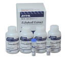 EzRIPA Lysis kit （イージーリパ ライシス キット） | 抽出関連試薬/細胞・タンパク質可溶化剤 | 試薬 | アトー製品情報 | ATTO