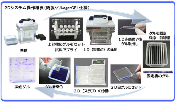 ディスクラン Ace | コンパクト／ミニゲルサイズ | 二次元／等電点電気泳動 | アトー製品情報 | ATTO