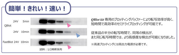 QBlot Kit | 消耗品（メンブレン・ろ紙） | ブロッティング試薬・消耗品 | アトー製品情報 | ATTO