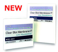 クリアブロット・P膜（低蛍光）シリーズ | 消耗品（メンブレン・ろ紙） | ブロッティング試薬・消耗品 | アトー製品情報 | ATTO