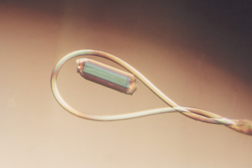 18 mm Mounted CryoLoop™ - 20 micron