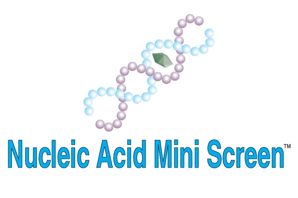 Nucleic Acid Mini Screen (NAM)