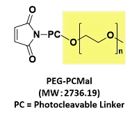生体硫黄解析用試薬 -SulfoBiotics- PEG-PCMal　