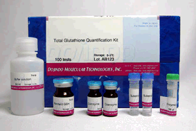 グルタチオン定量キット Total Glutathione Quantification Kit　