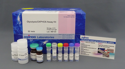 解糖系/酸化的リン酸化測定キット Glycolysis/OXPHOS Assay Kit　