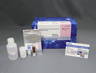 アミノ酸取り込み検出キット Amino Acid Uptake Assay Kit　