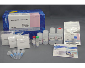 細胞毒性測定キット Cytotoxicity LDH Assay Kit-WST　