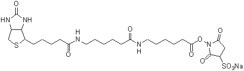 ビオチン標識試薬 Biotin-(AC5)2 Sulfo-OSu　