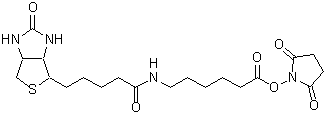 ビオチン標識試薬 Biotin-AC5-OSu　
