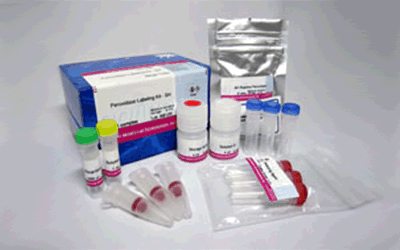 抗体・タンパク質標識キット Peroxidase Labeling Kit - NH2 (for 1mg)　